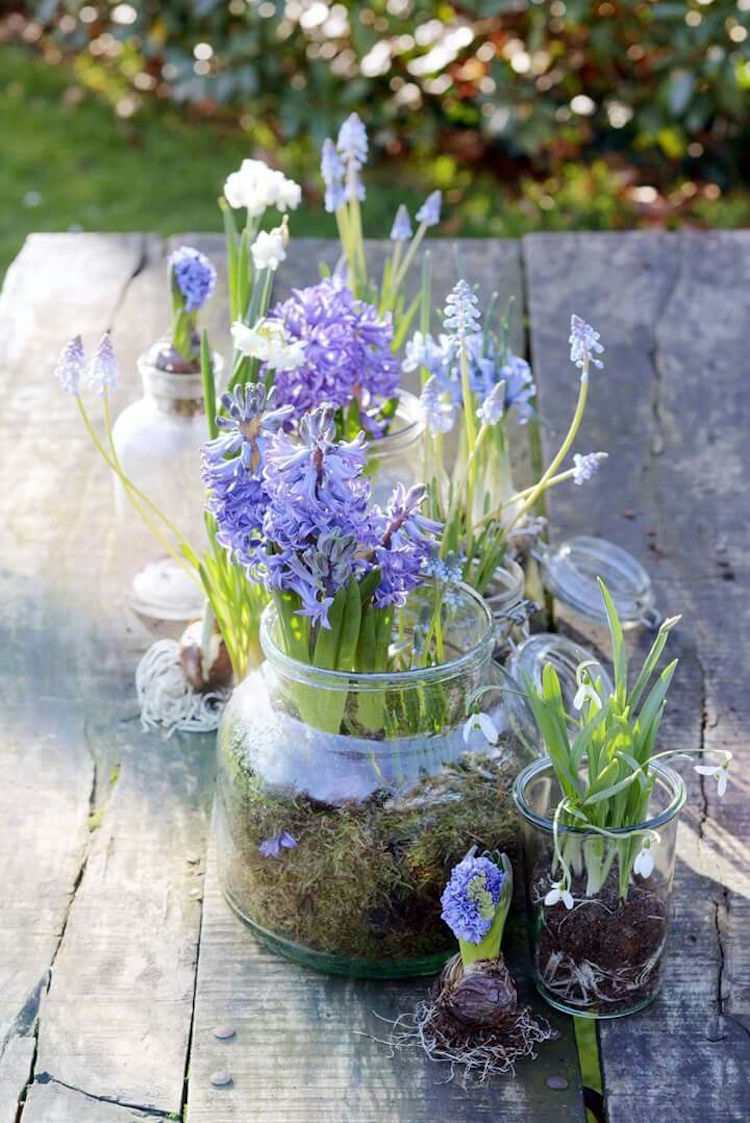 lila hyacinter och liljekonvaljer i ett glas mossa