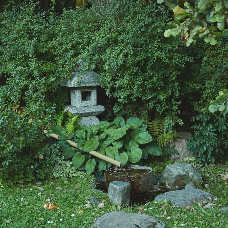 japansk trädgårdsvattenfunktion