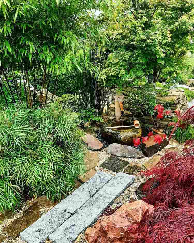 japansk trädgård på hösten med bambuvattenfunktion och vackra växter