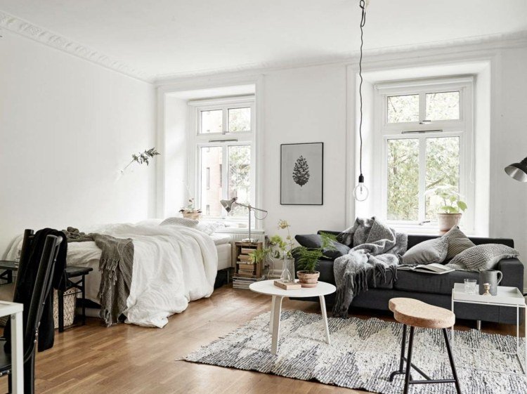 1 rums lägenhet inredning i skandinavisk stil-mörkgrå-soffa-enkelsäng