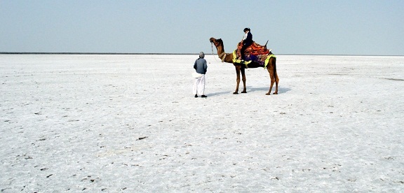 παραλία Γκουτζαράτ με λευκή άμμο
