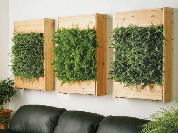 Moderna väggbeklädda krukväxter