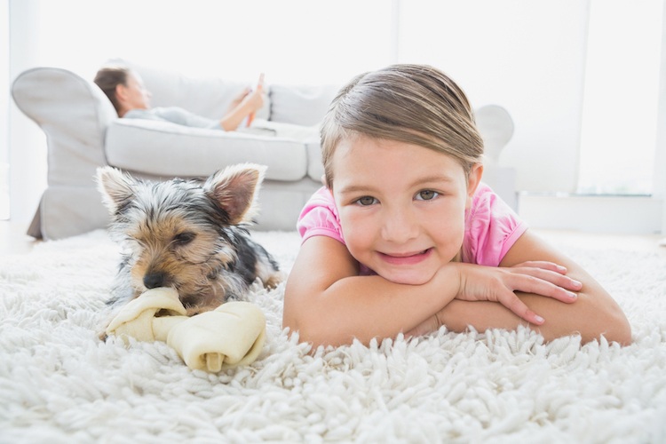 Lyckligt barn med hund på en mjuk matta