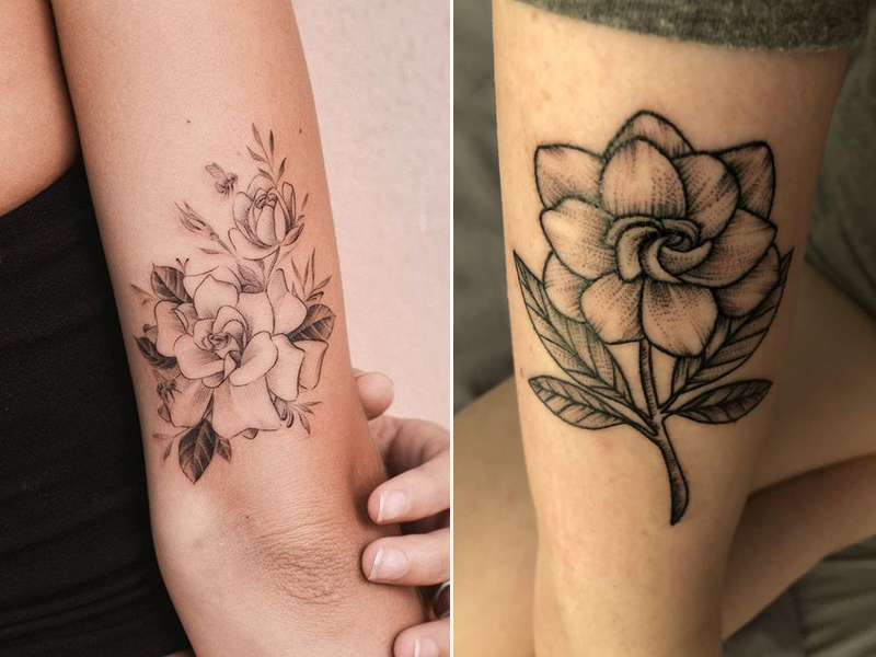 Τατουάζ λουλουδιών Gardenia