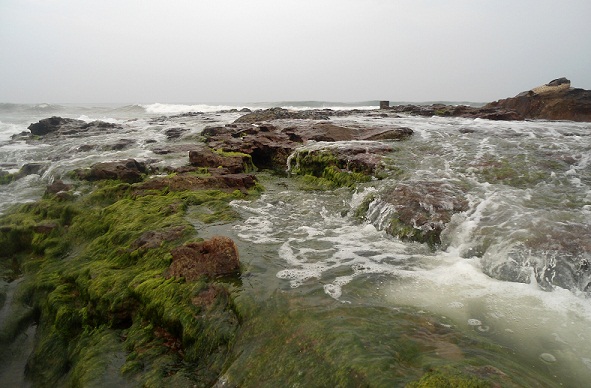 Παραλία Bheemli Andhra Pradesh