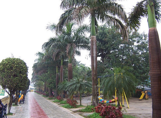 Millennium Park Kolkata kuuluisa puisto