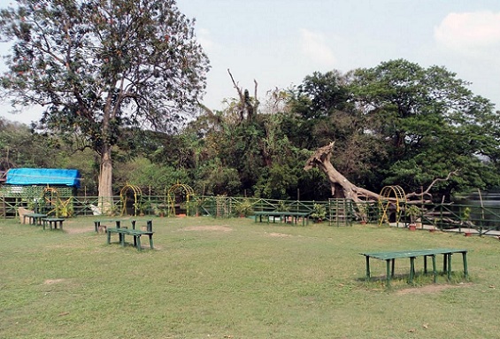 Βοτανικοί Κήποι τα καλύτερα πάρκα στην Καλκούτα