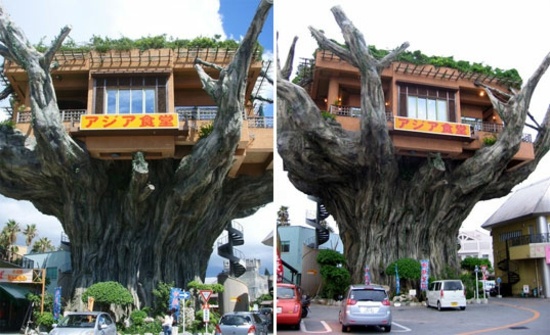 japansk-restaurang-på-träd