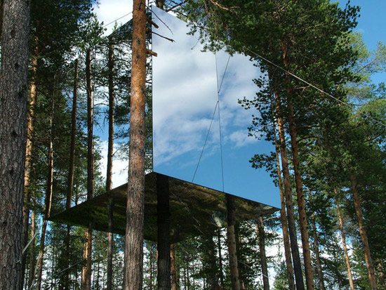 Tree Hotel Sweden Modern Design