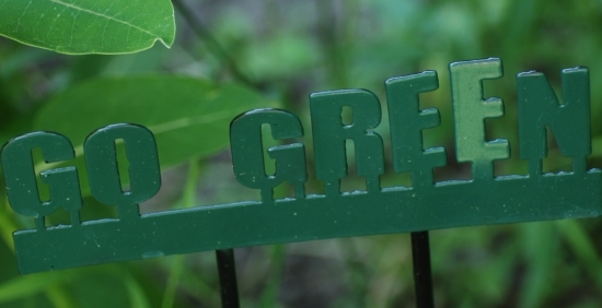 go green tio tips för en grön livsstil