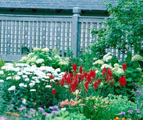 tips för att bygga ditt eget trädgårdstaket god granne