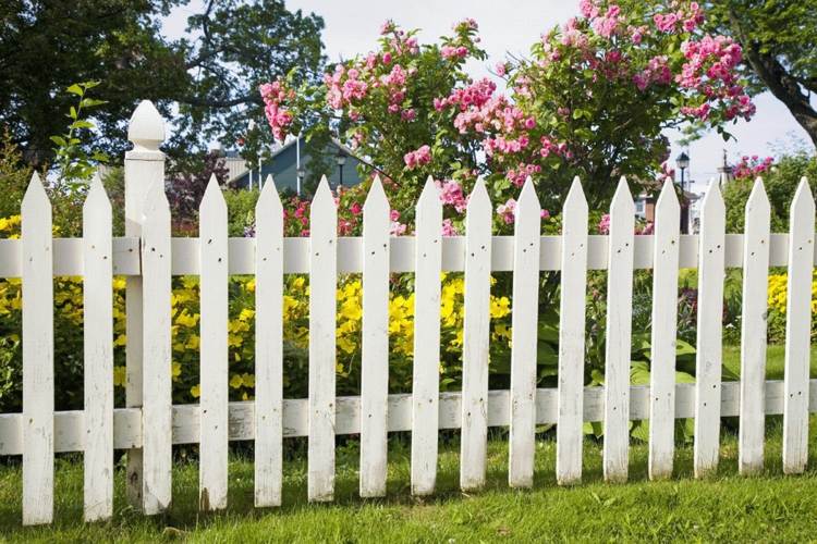 Bygg ditt eget trädgårdsstaket inspiration-DIY-trädgård-design-rosor