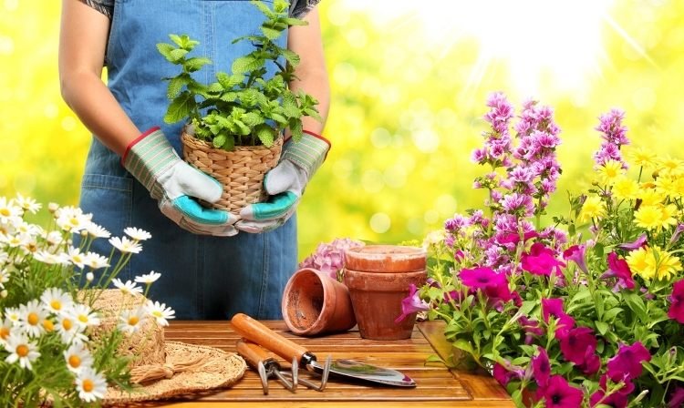 trädgård-billig-design-växt-transplantation-trädgård-vård-verktyg-blomma-handskar-halm hatt-plantering bord
