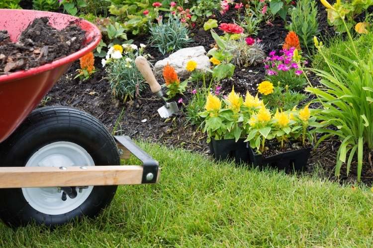 trädgård-billig-design-trädgårdsarbete-trädgårdsarbete-plantering-gräsmatta-skottkärra