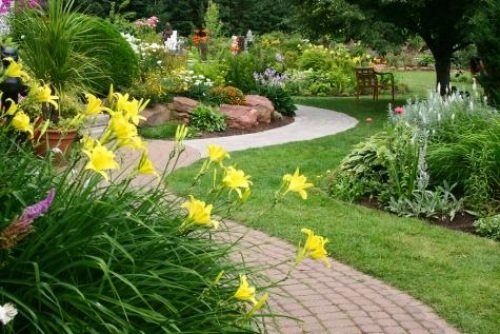 idéer för billig trädgårdsdesign blommor gul