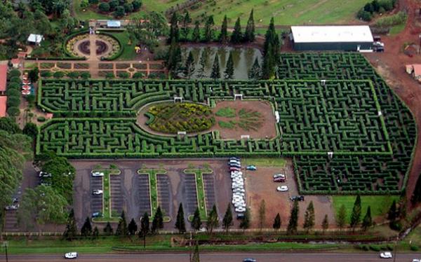 Mazes and labyrinths world garden art hawaii ananas
