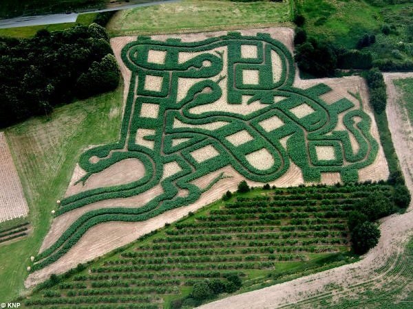 Labyrinter och labyrinter ormdesign