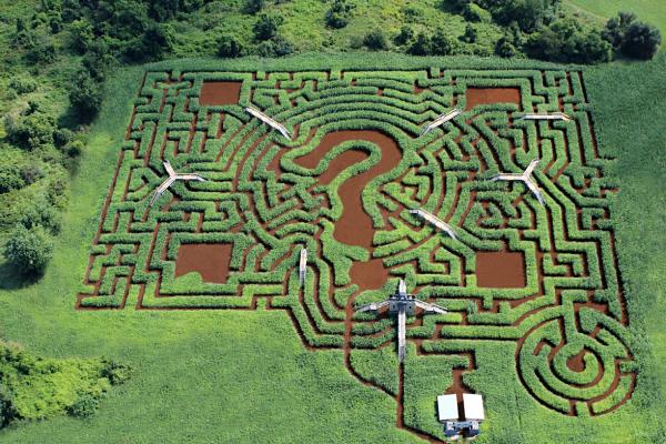 Davis mega corn maze bridges spel