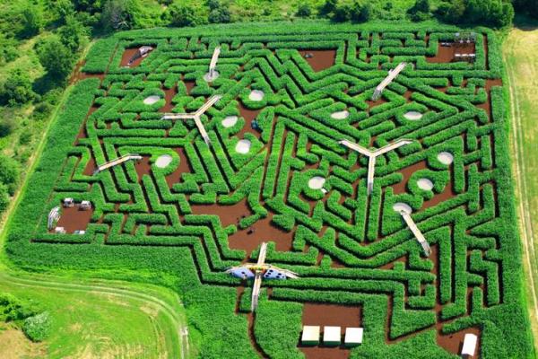 Labyrinter majs labyrinter usa davis mega trädgård labyrint