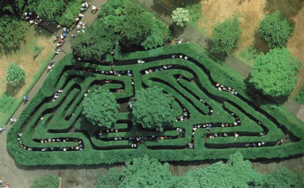 Mazes hedge labyrinter hampton Storbritannien