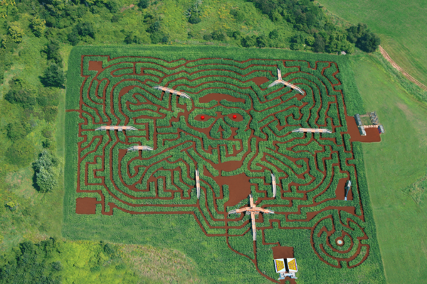 Maze labyrinter Davis Mega labyrint Sterling USA