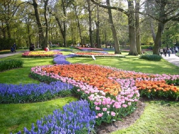konstnärligt utformade-blommor-sängar-tulpaner-vårfärger i trädgården