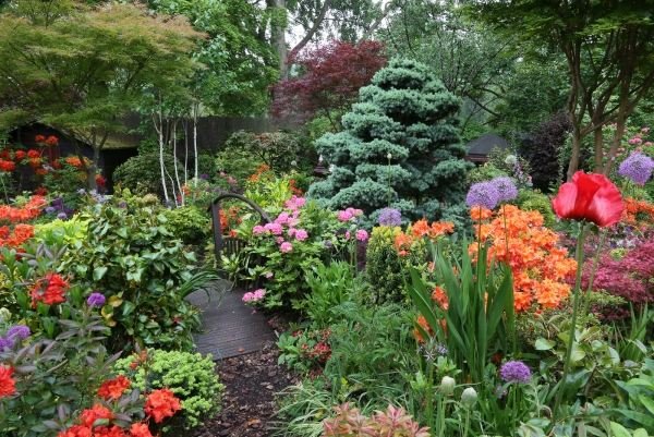 vårträdgård design färg tips växt typer färgglada blommor
