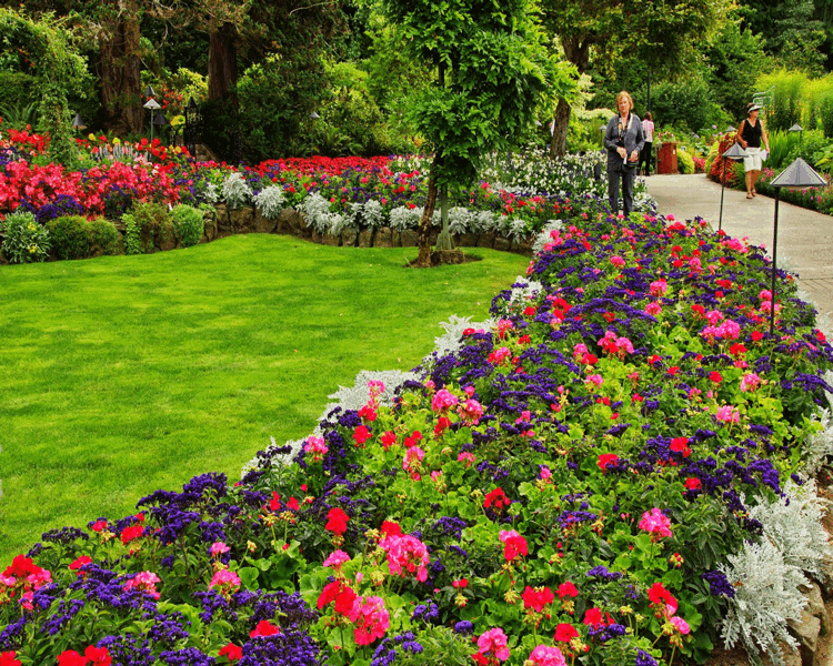 Tips-trädgård-design-blommor-färgglada-gräsmatta-färg-blomma-matta
