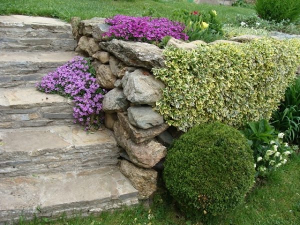 Att lägga trappor i trädgården natursten blommor växer buskar harmonisk ensemble