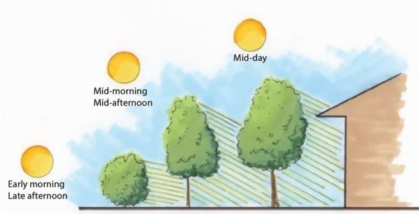 gratis tips för att spara energi hus träd landskap