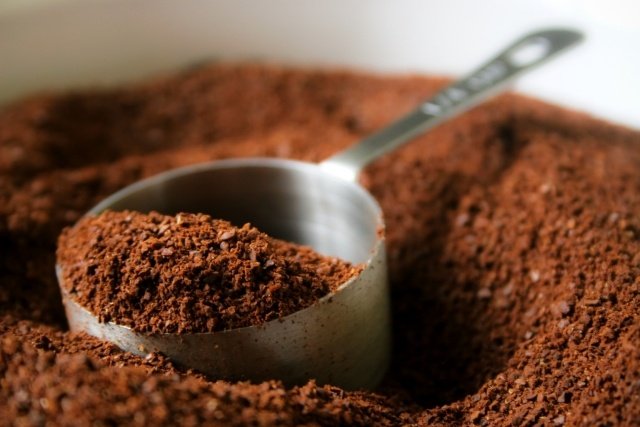 kaffesump huskurer jord inomhus växter berika Tips för växtvård