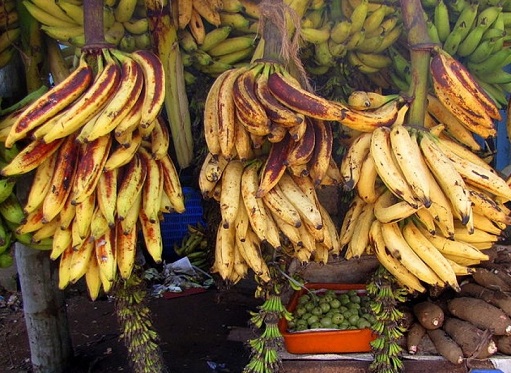 erilaisia ​​banaaneja