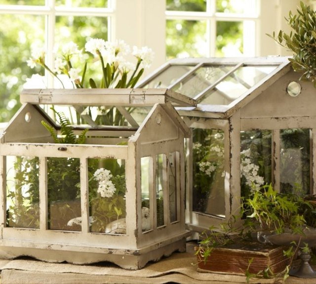 mini-terrarium-växter-trä-hus