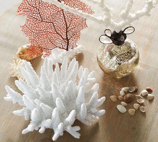dekorativa-tillbehör-maritima-stil-koraller