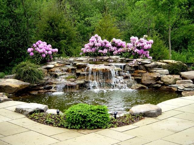 Välbefinnande-oas-med-vatten-rosa-blommor-belysta