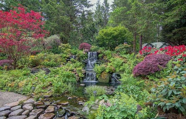 Trädgård-oas-plantering-gradering-höjd-trädgård-damm-vattenfall