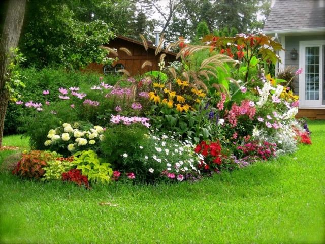Ö-säng-rabatt-frodig-blommande-speciell-iögonfallande trädgård