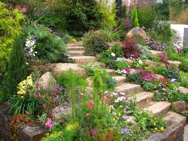 Trädgård-trappor-omgiven av rosor-buskar-gräs-lökblommor