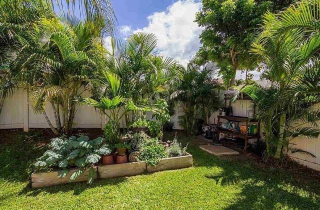 Trädgård-exotisk-plantering-palm-arter-perfekt-sekretess-skydd-trästaket