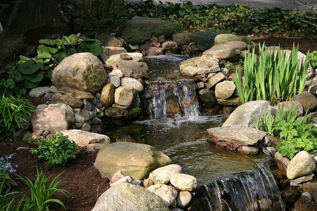 Välbefinnande-oas-trädgård-vatten-älskande-växter-stora-stenar-vatten