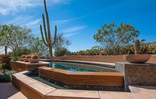 Högväxande-kaktusar-soliga-trädgård-design-terrass-vatten funktioner