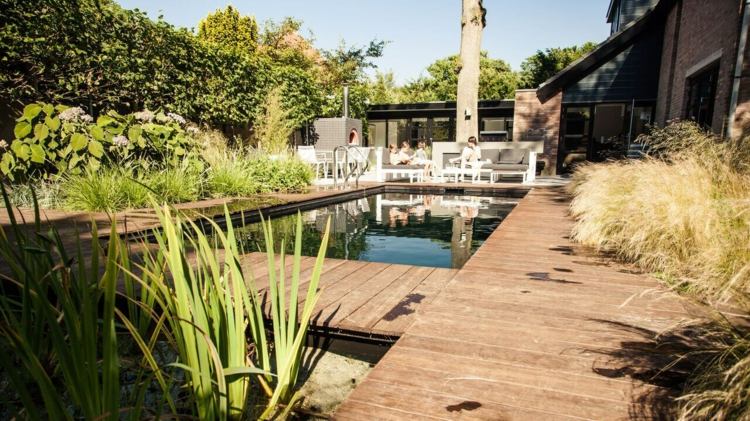 idéer för trädgårdsdesign modern-pool-idéer-prydnadsgräs-växter