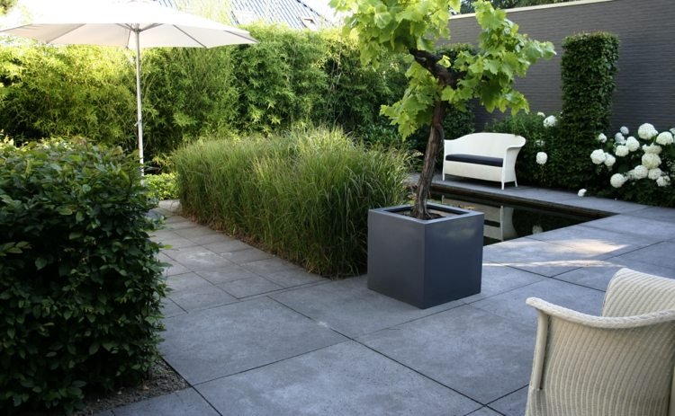 Idéer för trädgårdsdesign moderna planters-träd-betongplattor-häckväxter