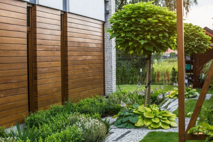 idéer-trädgård-design-moderna-lite-pengar-gröna-växter-träd