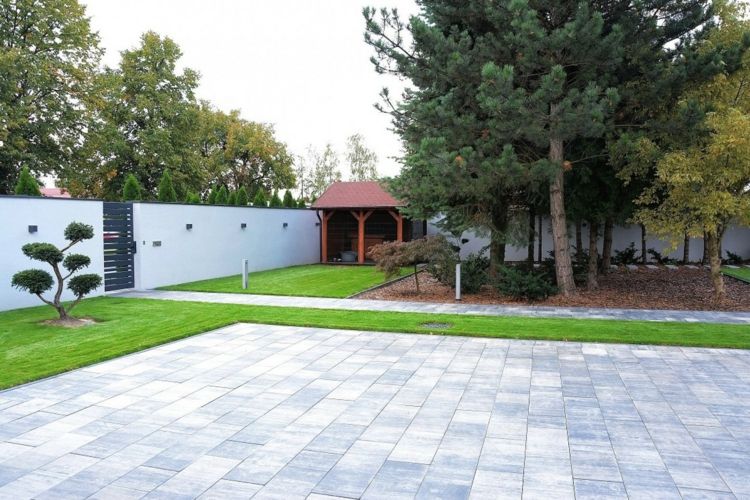 idéer-trädgårdsdesign-modern-enkel-trottoar-grå-bonsai