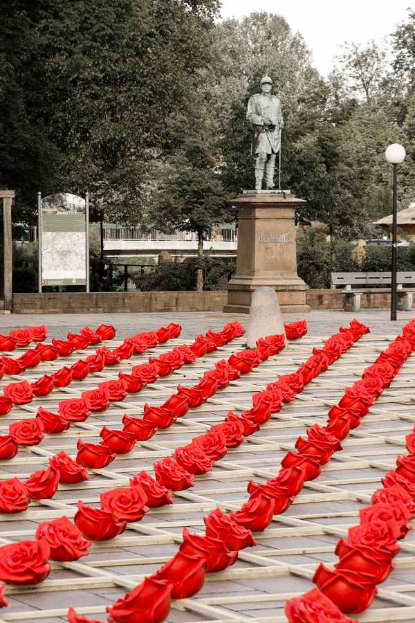Zweibrücken Tyskland tusen röda rosor plastgitter