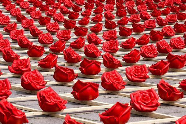tusen rosor för två broar plastrosor konstinstallation