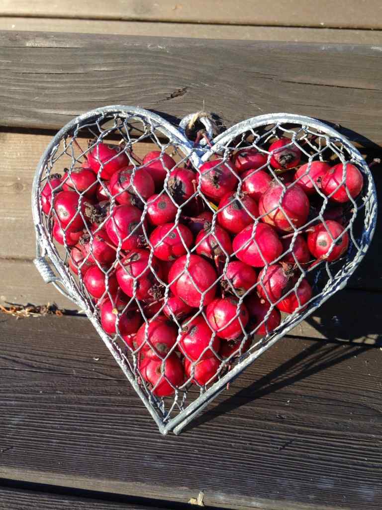 Crafting Idé för nybörjare - Ett trådhjärta att fylla med frukt och lägga på