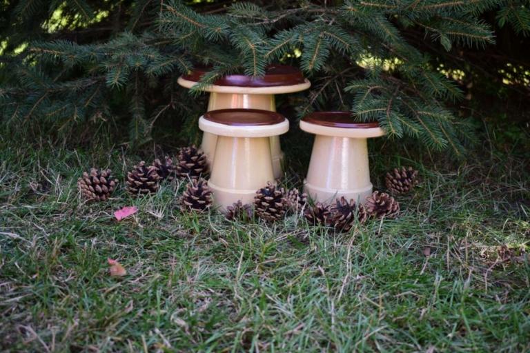 Bred ut roliga svampar från blomkrukor och fat i trädgården
