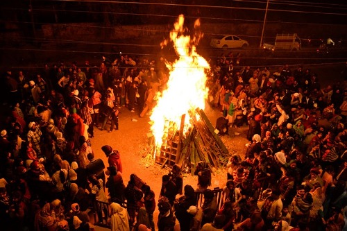 Φεστιβάλ Μάγκι στην Πουντζάμπ